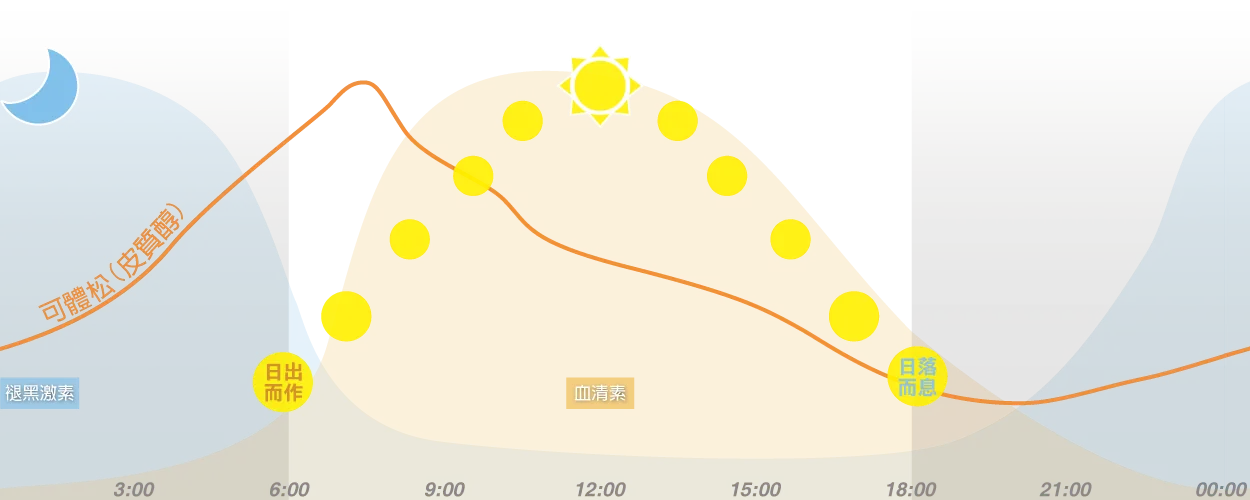 SUVIOS 日出而作日落而息 241014 9