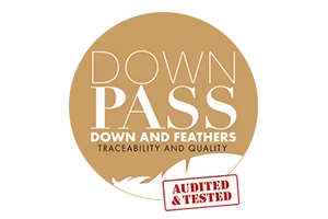 logo downpass en