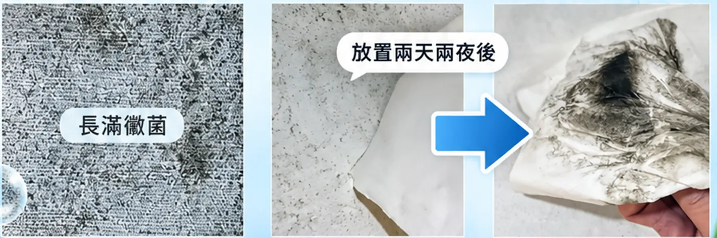 浴室黴菌實測:長滿黴菌的表面放置兩天兩夜後,擦拭即可清除黴菌