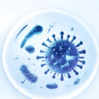 細菌與微生物示意圖