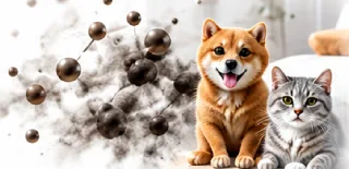 寵物與各種異味分子示意圖