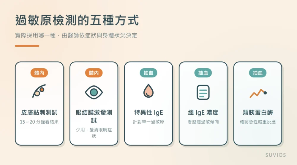 插圖：過敏原檢測的五種方式，體內檢測為皮膚點刺測試與眼結膜激發測試，抽血檢測為特異性 IgE、總 IgE 濃度與類胰蛋白酶